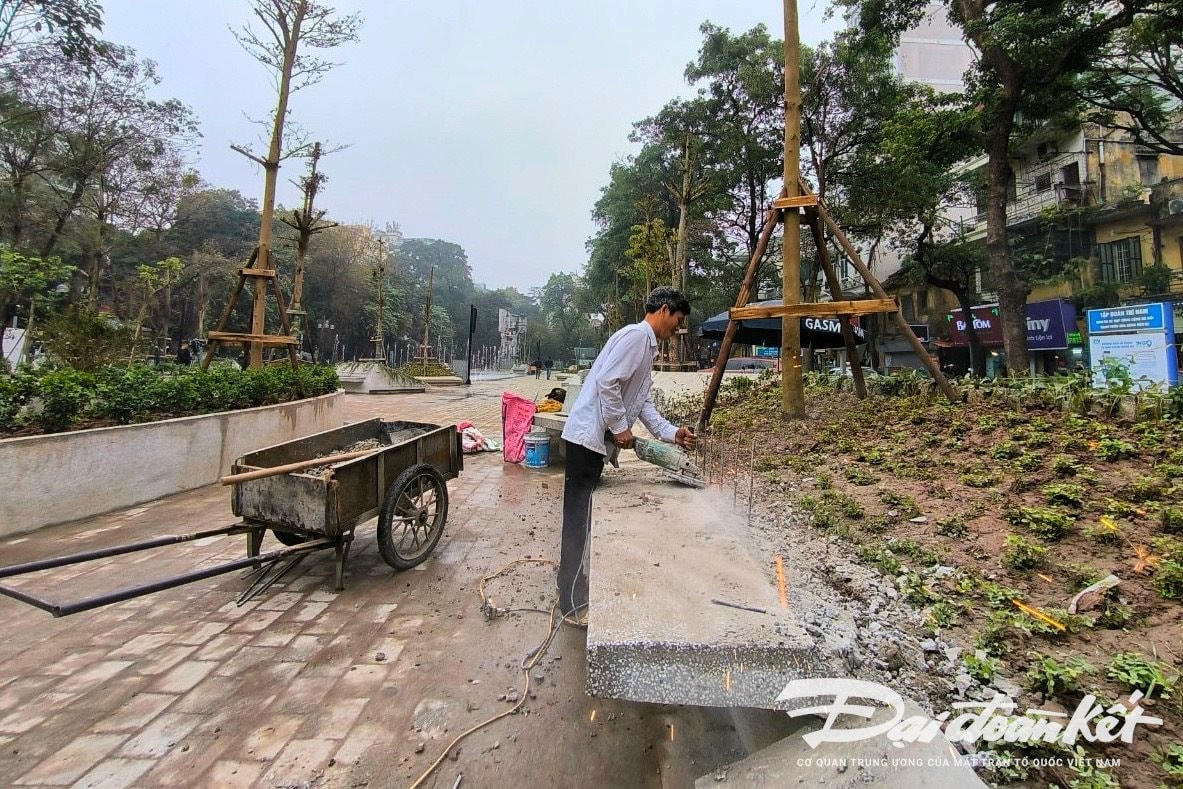 W_vuon_hoa_hang_dau-le-khanh11.jpg