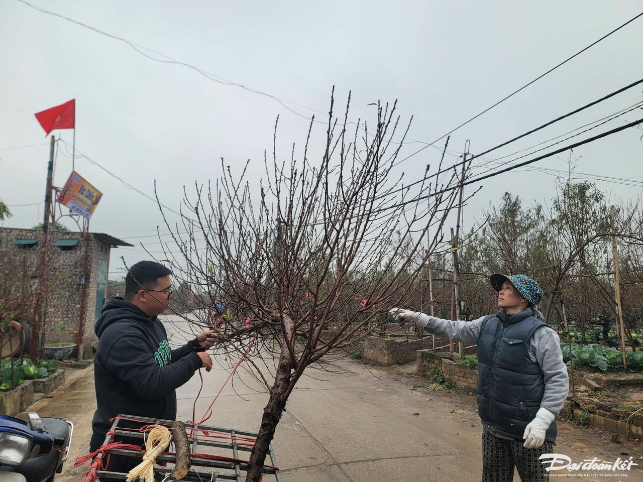 W_2098b819fed755890cc6.jpg