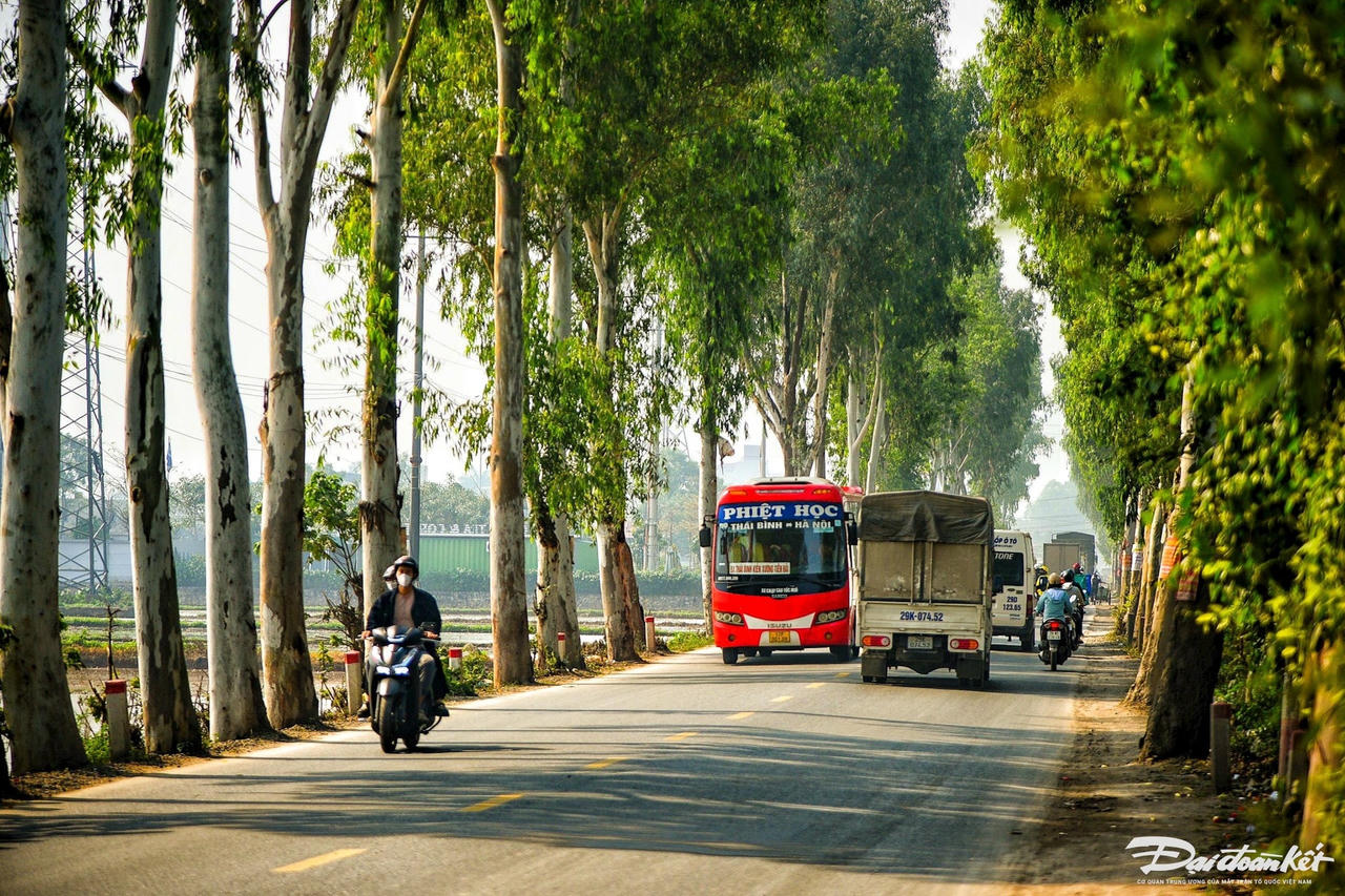 W_duong_70-le-khanh11.jpg