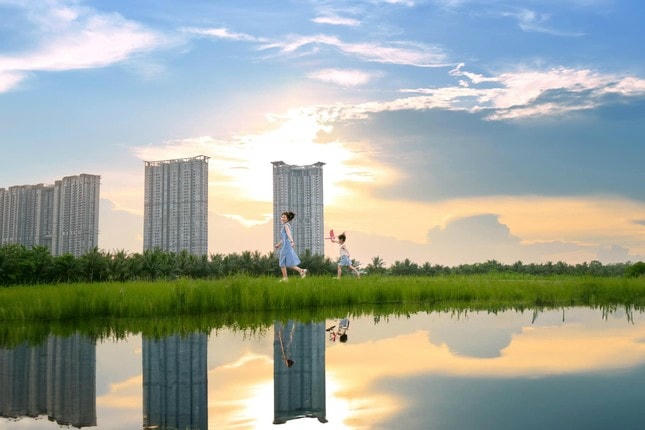 Ông bố kể chuyện tìm thấy nơi ở 'định mệnh' cho cả gia đình sau một lần đi lạc ảnh 3