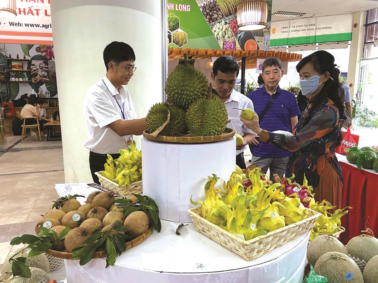 saphamdiaphuong.jpg