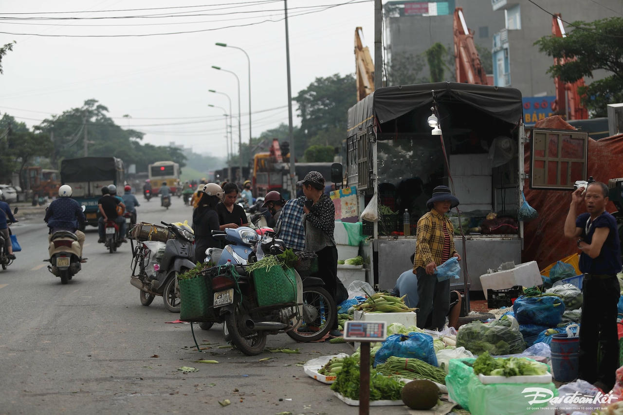 cho-mai-linh11.jpg