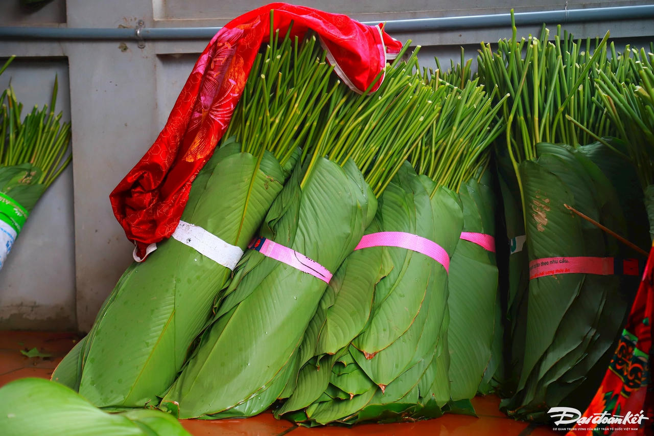 W_la-dong_le-khanh12.jpg