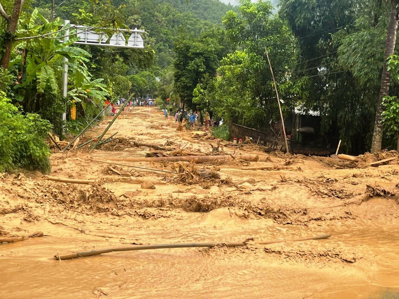 Sơn điện 5