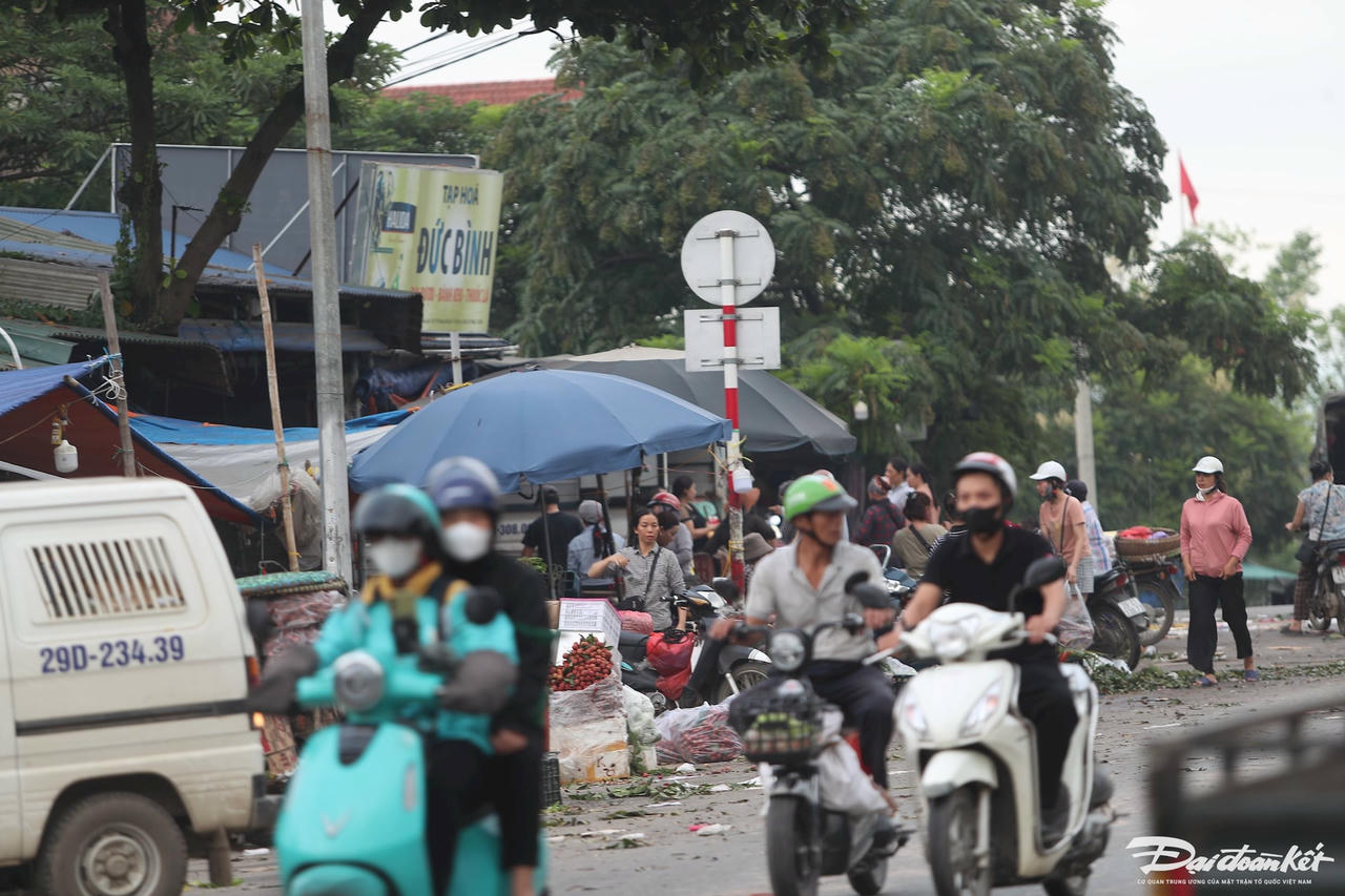 cho-mai-linh23.jpg
