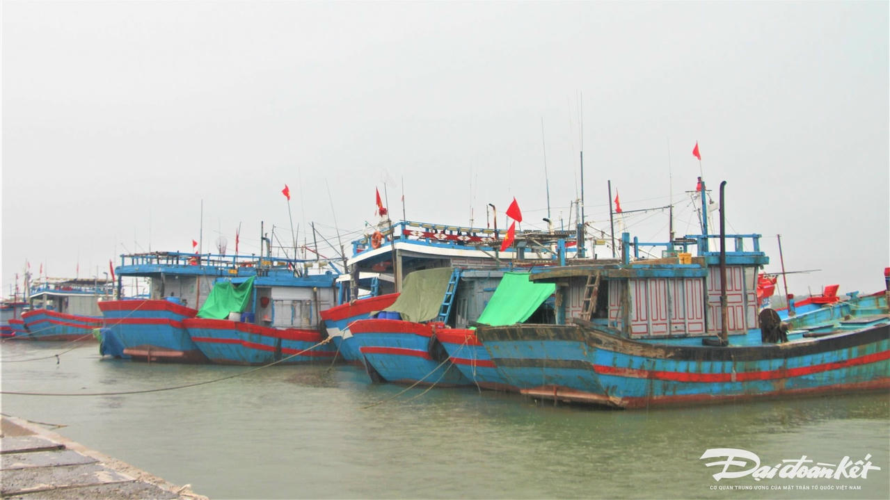 NGU DAN 3