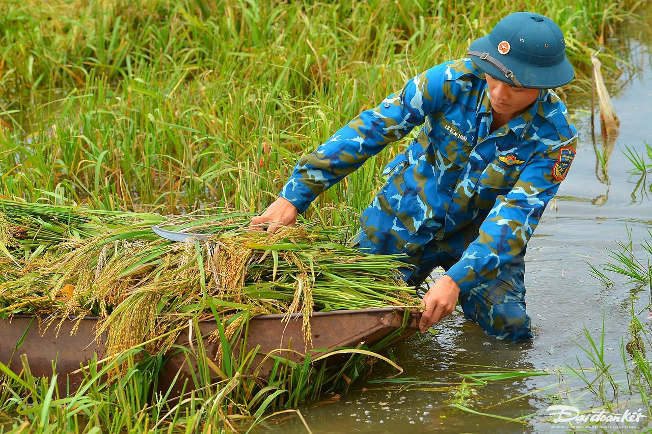 bo_doi_gat_lua-le-khanh4.jpg
