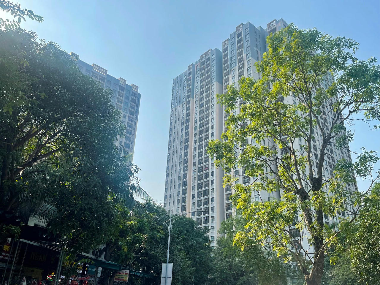 ảnh trên