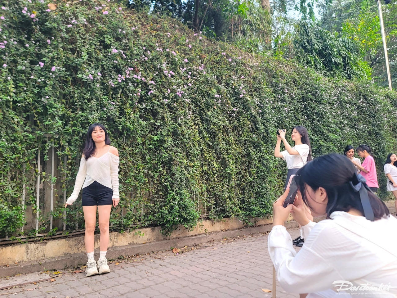 c86a5928f805575b0e14.jpg