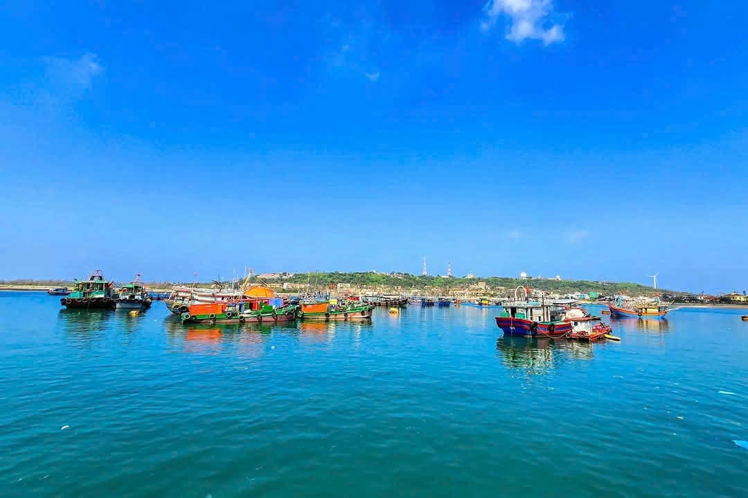 Một góc BLV 1