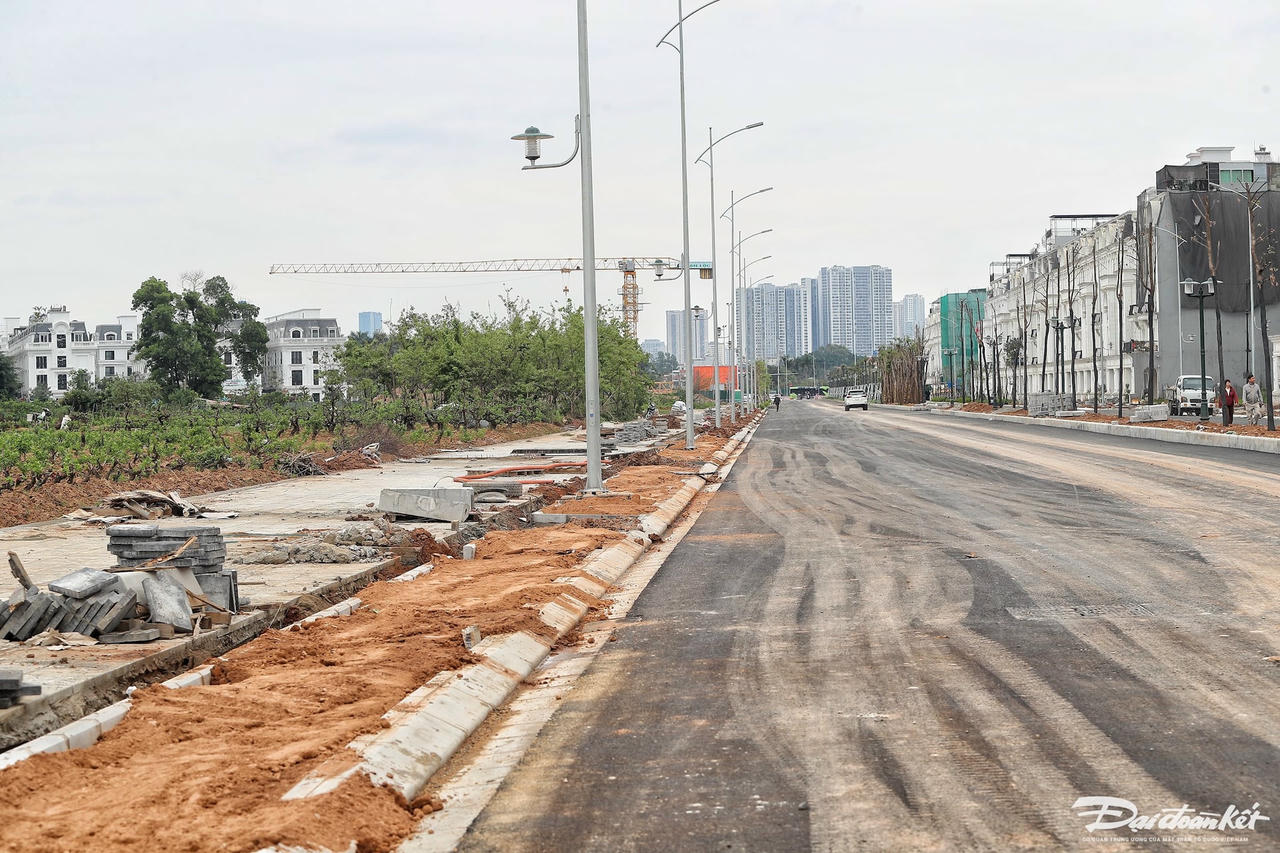 le_quang_dao14.jpg