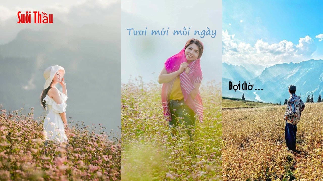 nhieu-cung-bac-cam-xuc-cua-du-khach-sung-so-truoc-ve-dep-thien-nhien-trong-lanh-cua-thao-nguyen-suoi-thau-xin-man(1).jpg