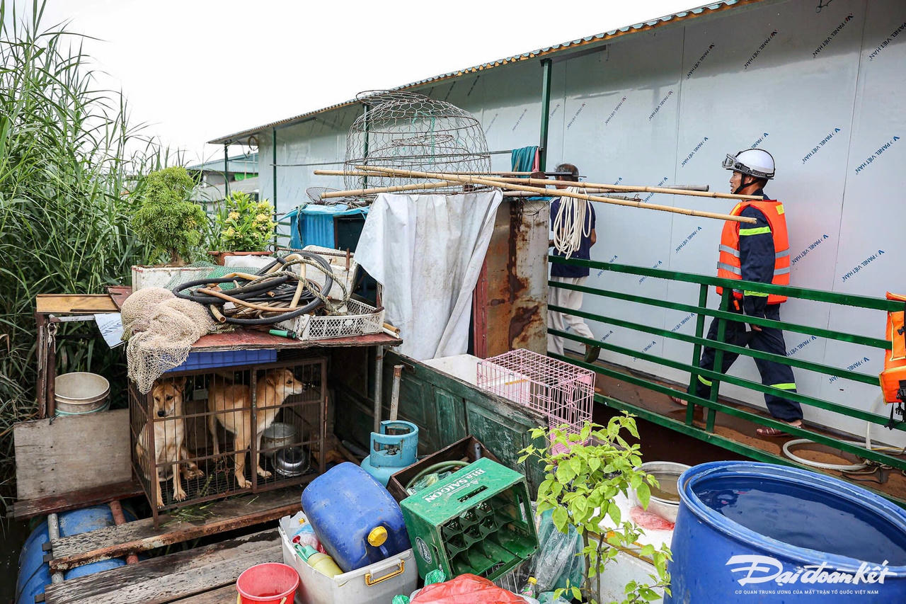 cảnh báo26