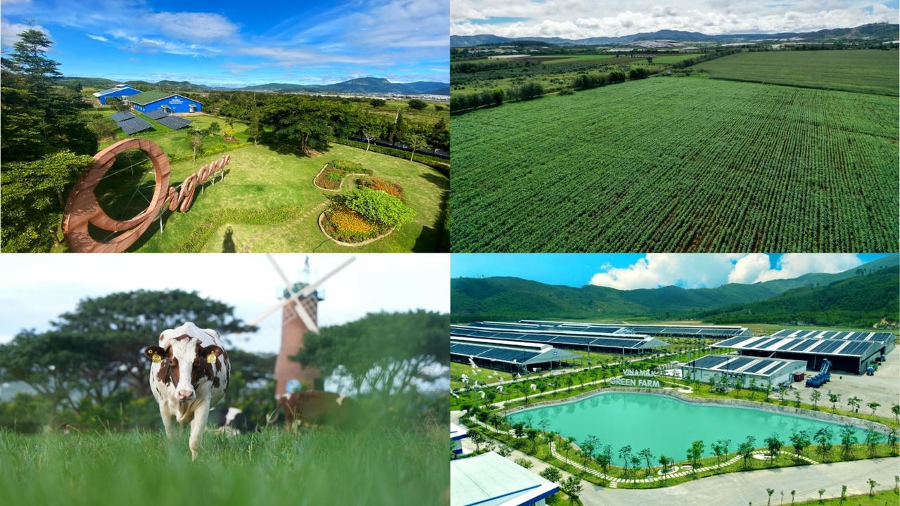 Nhiều giải pháp giúp giảm phát thải khí nhà kính được Vinamilk ứng dụng tại các trang trại.