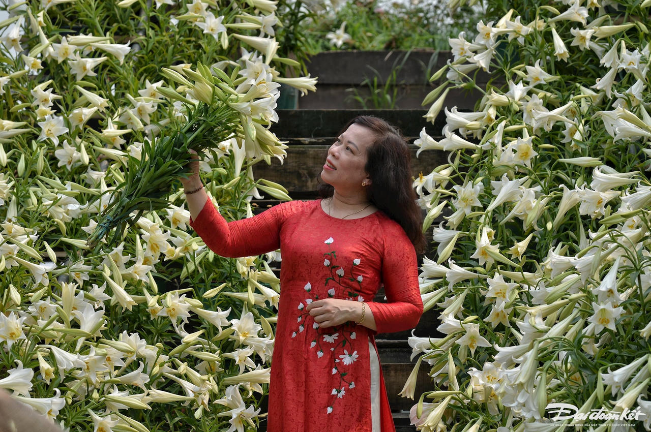 hoa_loa_ken-le-khanh29.jpg