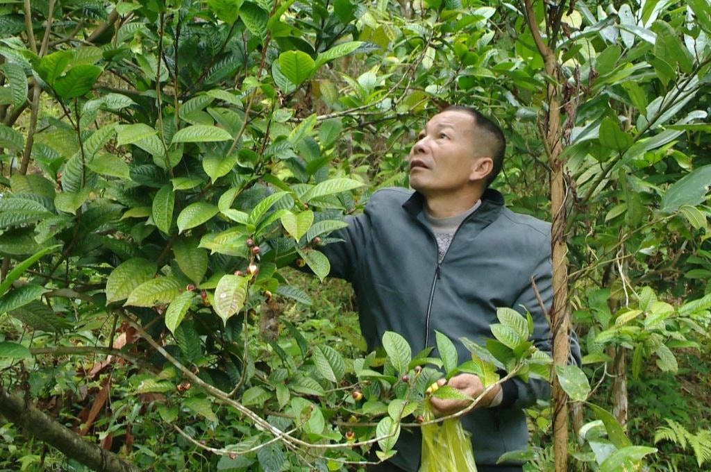 bai-duoi.jpg