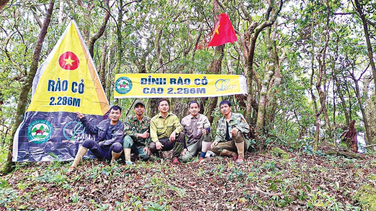3. Đỉnh Rào Cỏ cao 2.286m và là điểm cao nhất trong Vườn quốc gia Vũ Quang