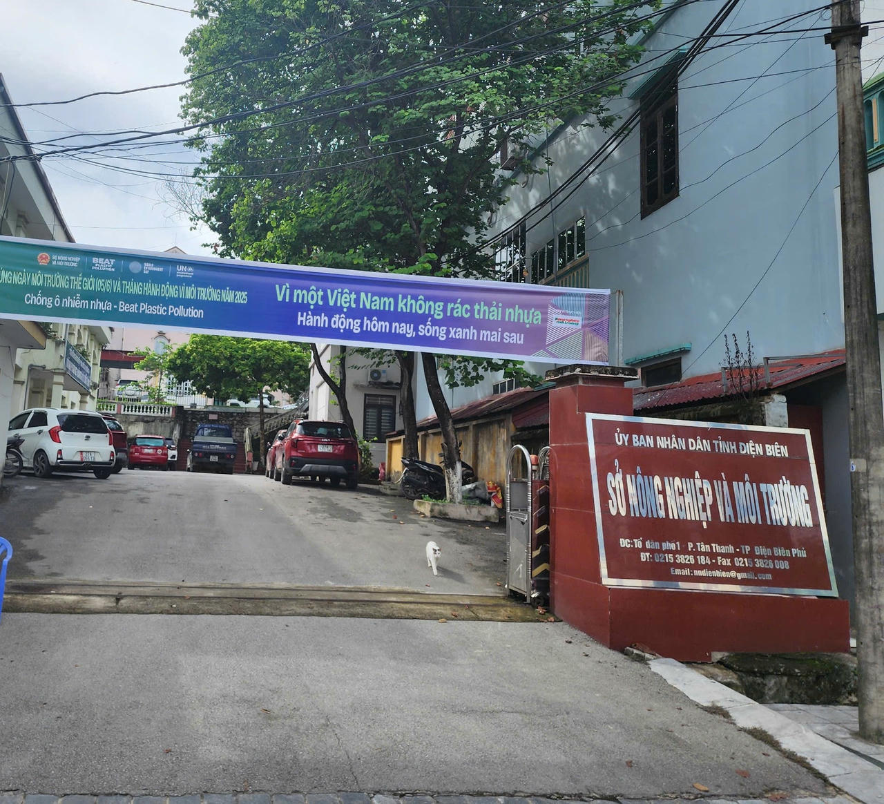 Anh bai tren