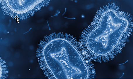Bệnh đậu mùa khỉ lây qua các chất tiết có mang virus từ các sang thương phát ban đậu mụn nước, mụn mủ.