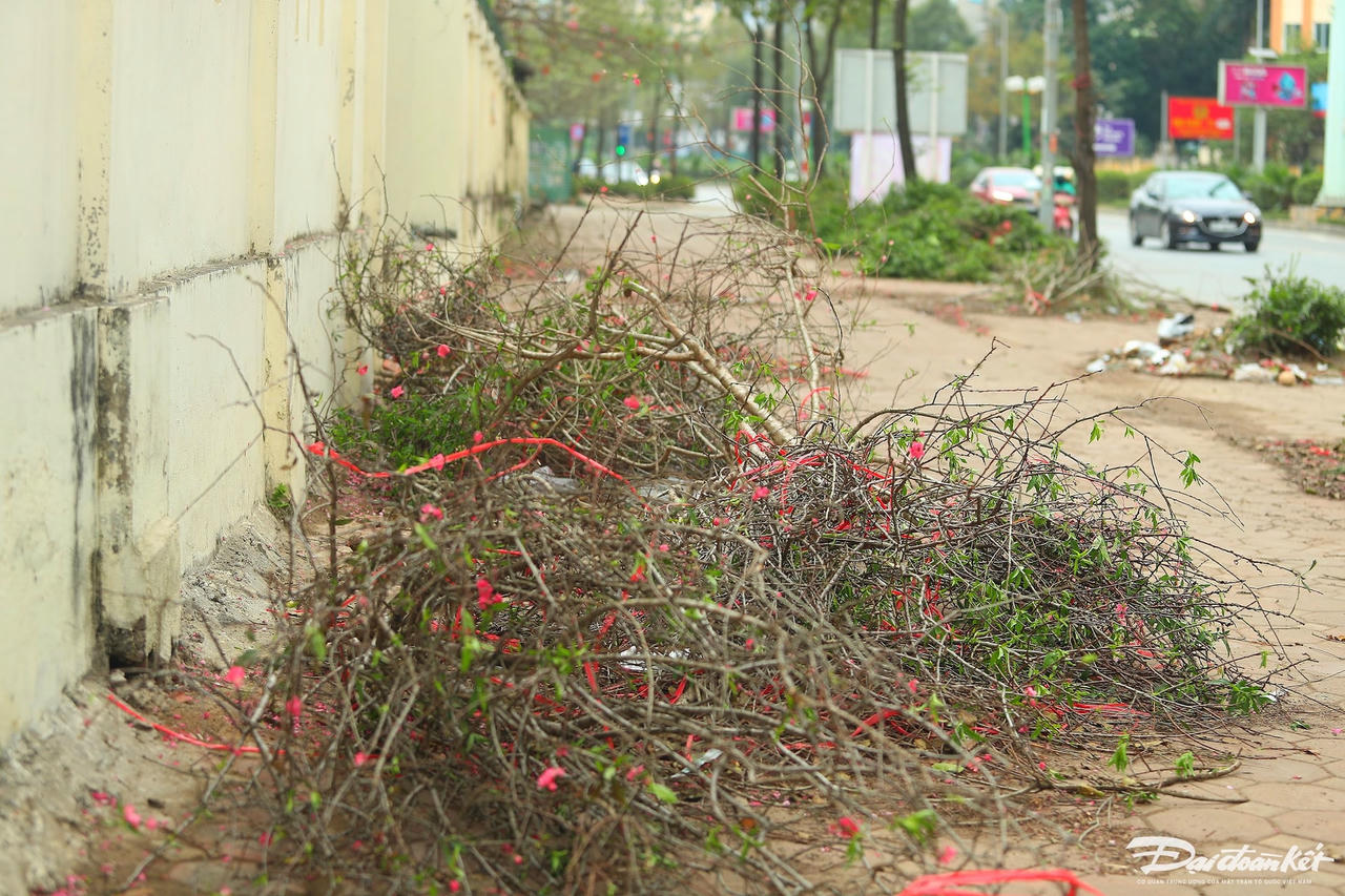 W_dao_quat_xa_lo-le-khanh12.jpg