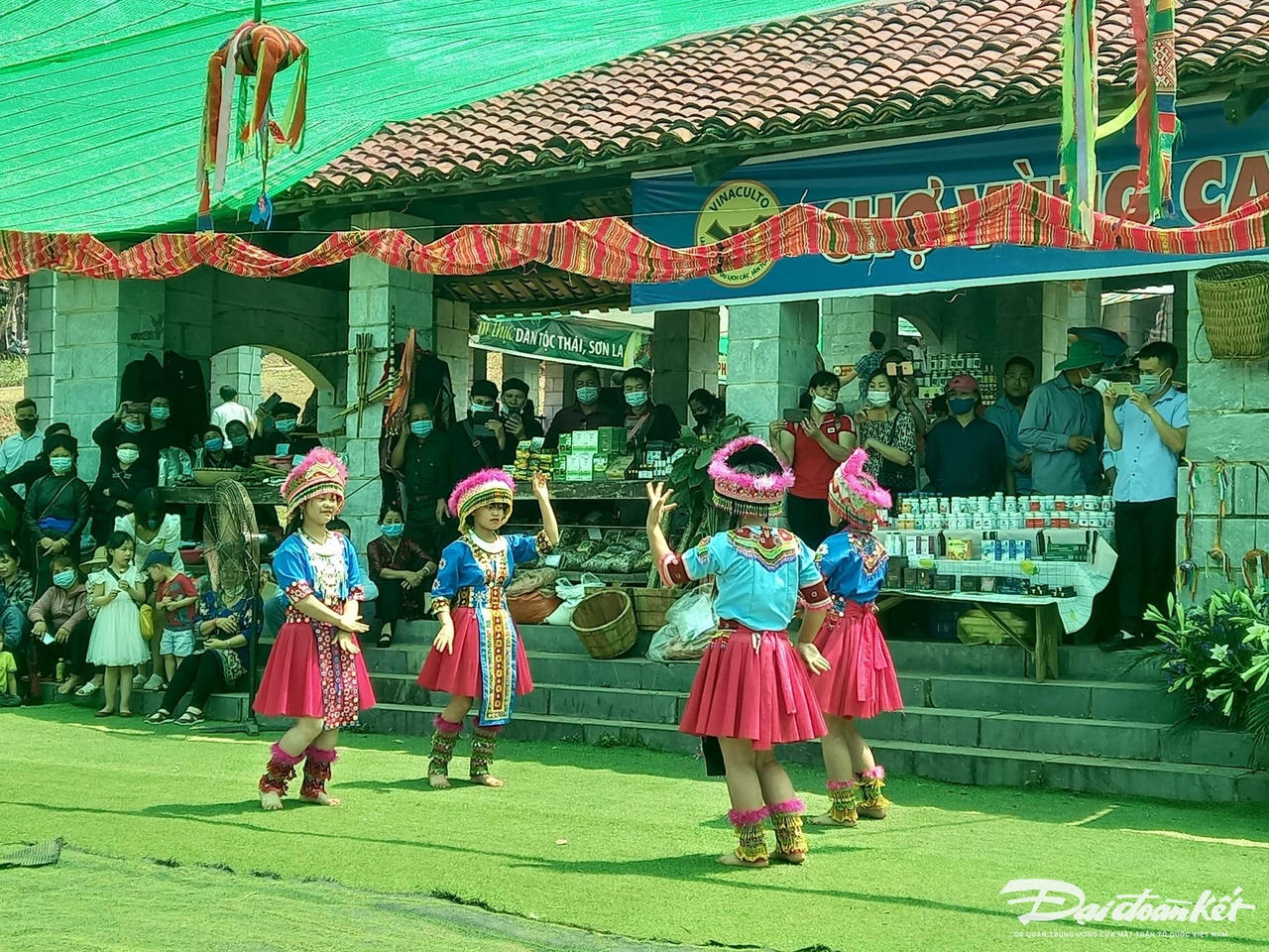 Hoạt động biểu diễ