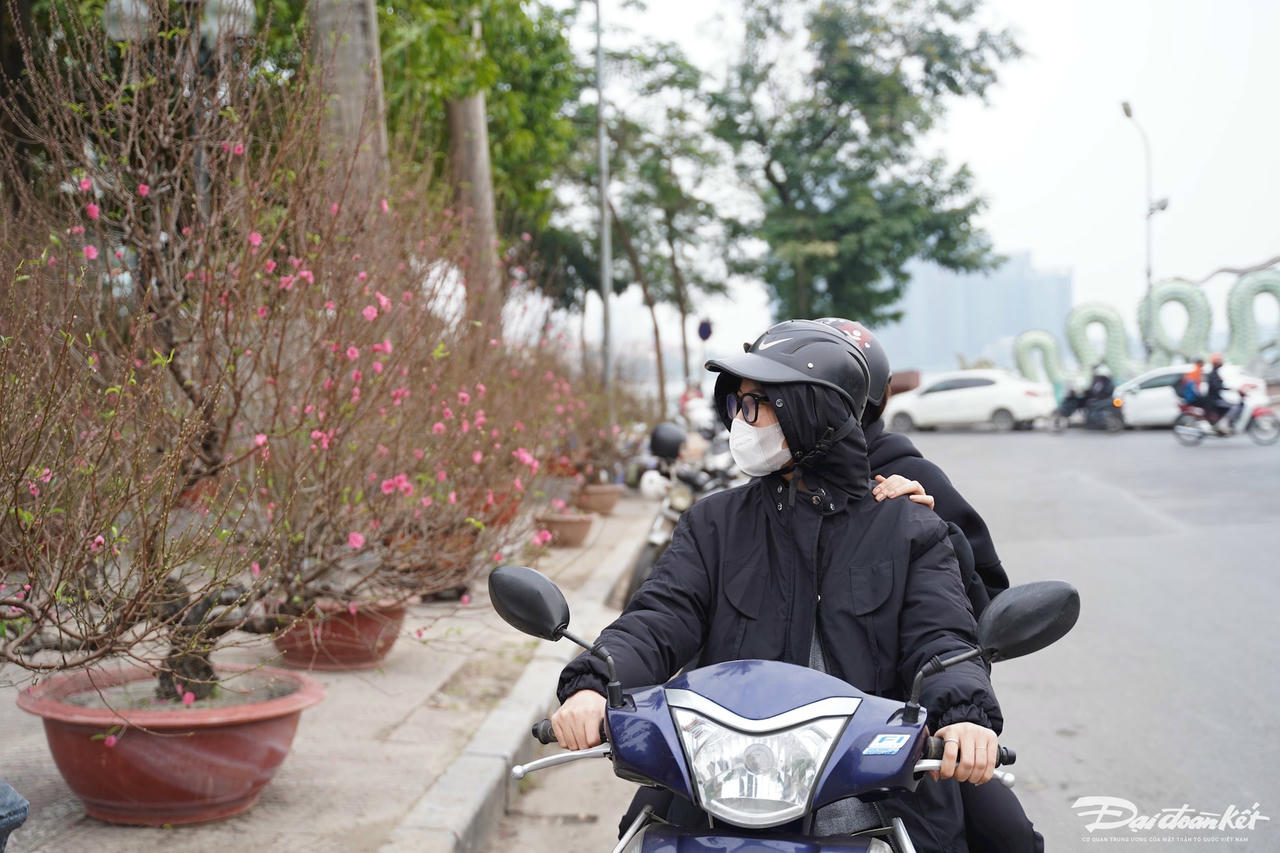 dao_quat-le-khanh22.jpg