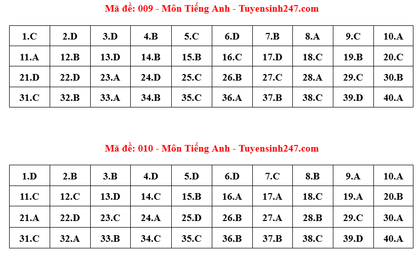 đề 6