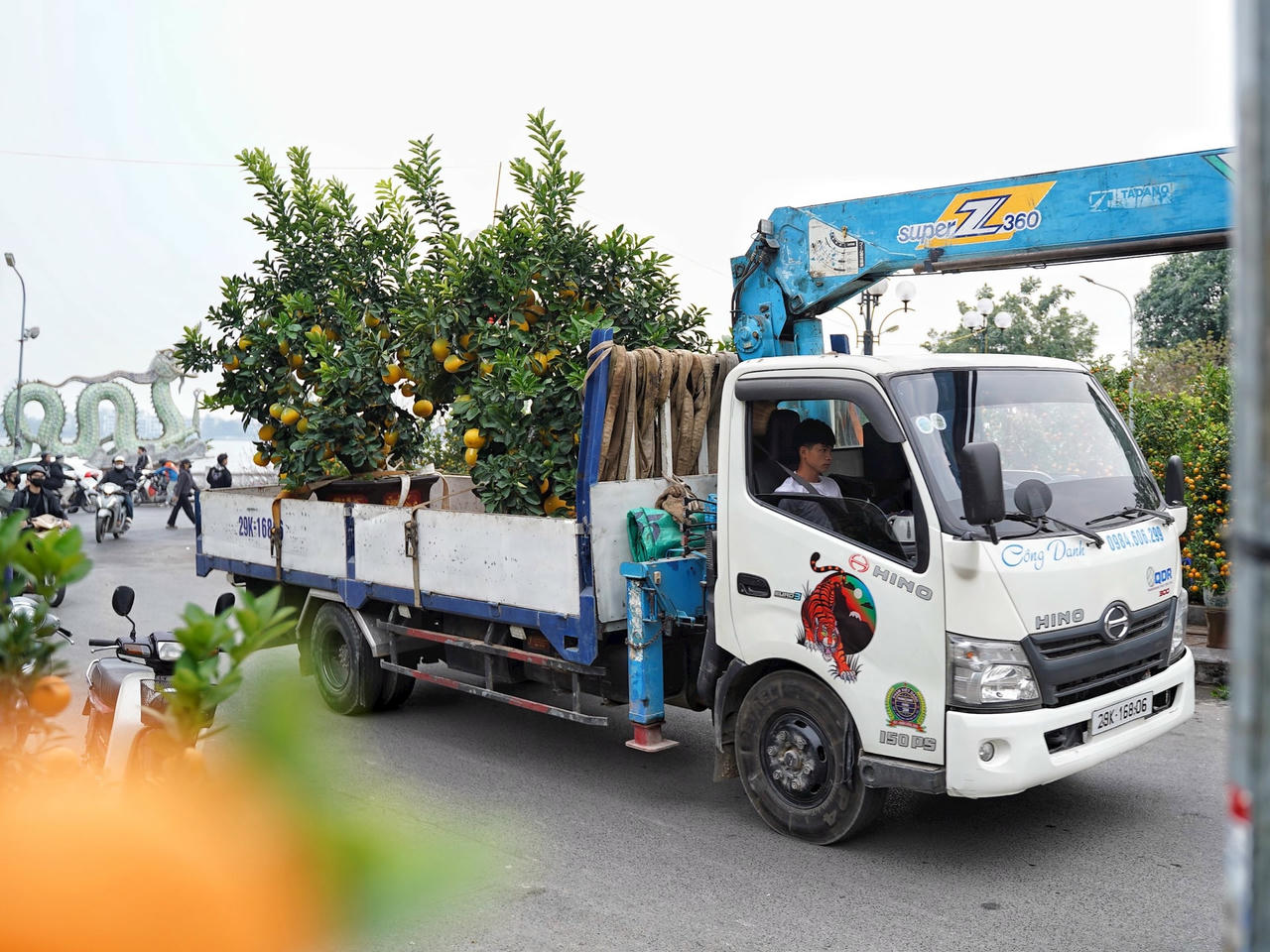dao_quat-le-khanh11-c1b8d4d2a0823b4e7a0abd7c886d1553.jpg