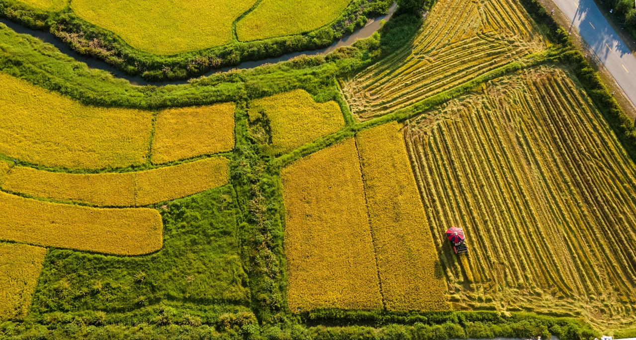 dji_0893.jpg