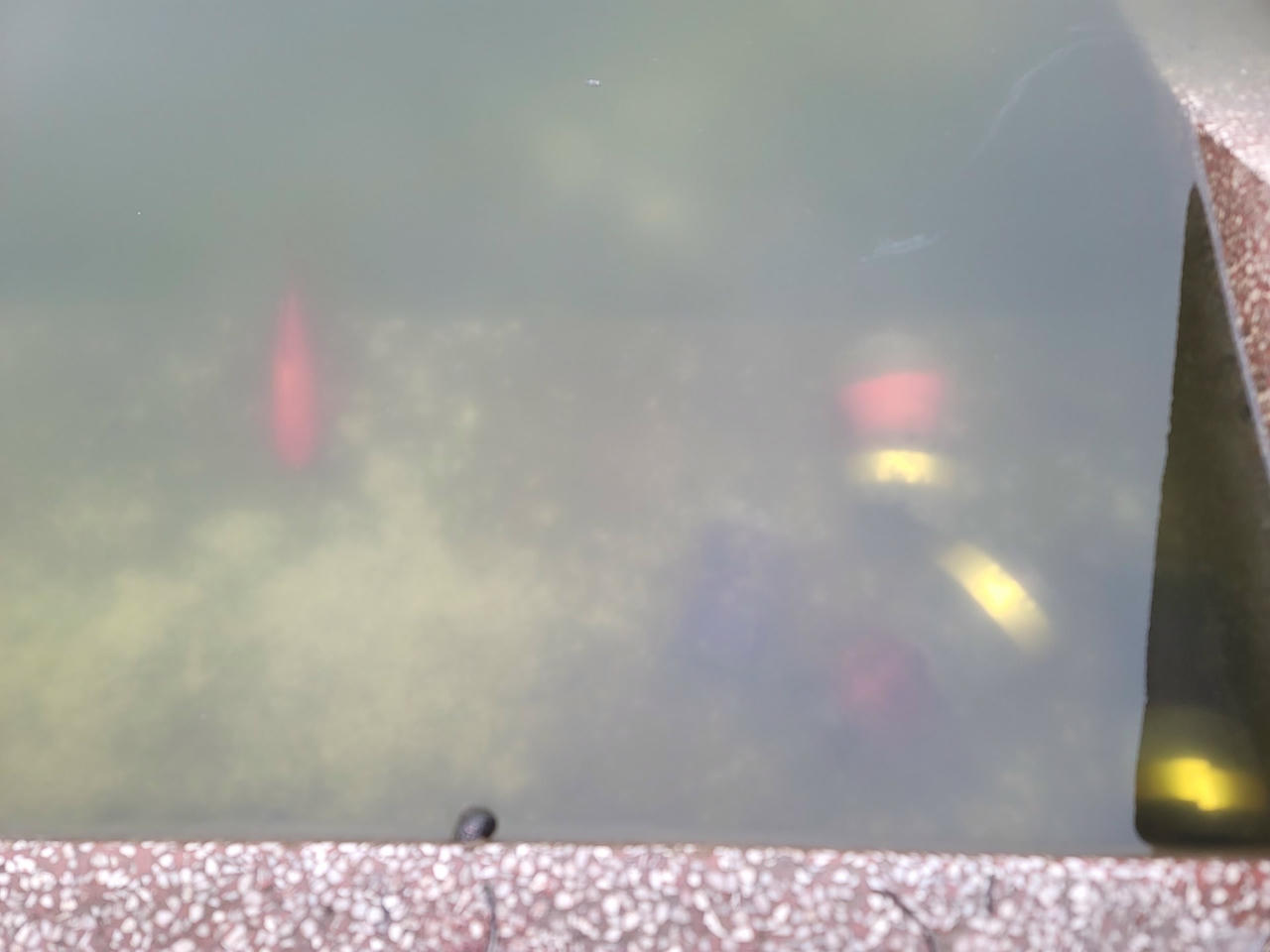 20250122_082448.jpg