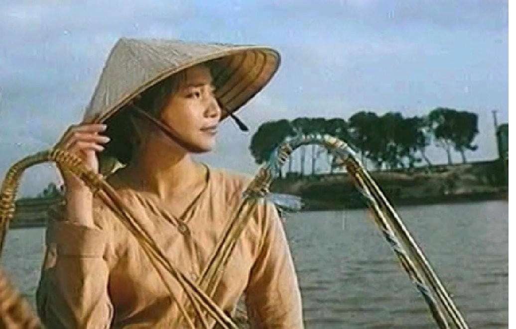 Cay bach dan vo danh