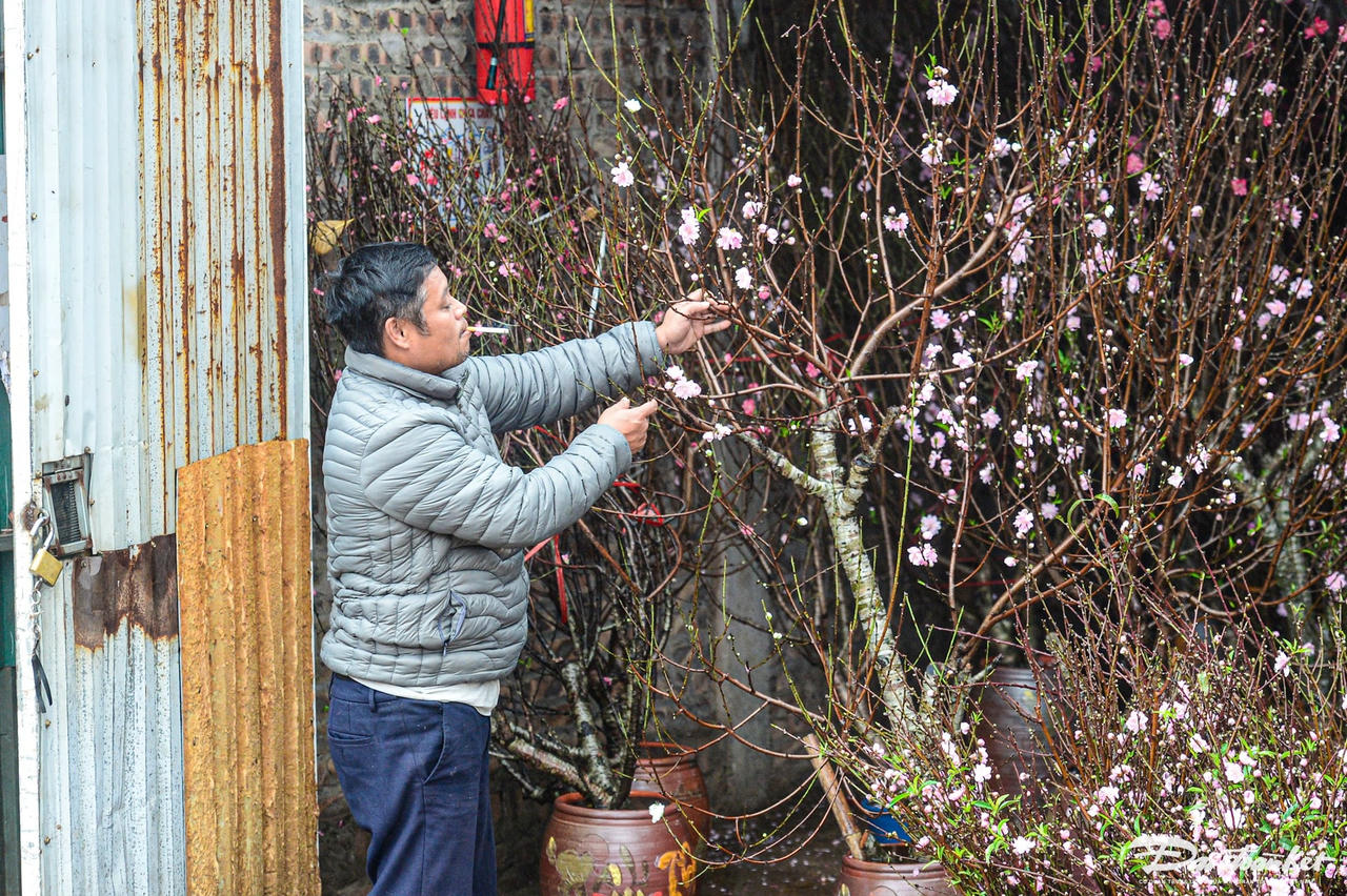 W_can-tet-tieu-thuong-cho-hoa-quang-ba-ngan-ngam-canh-duong-xa-bun-lay-12.jpg