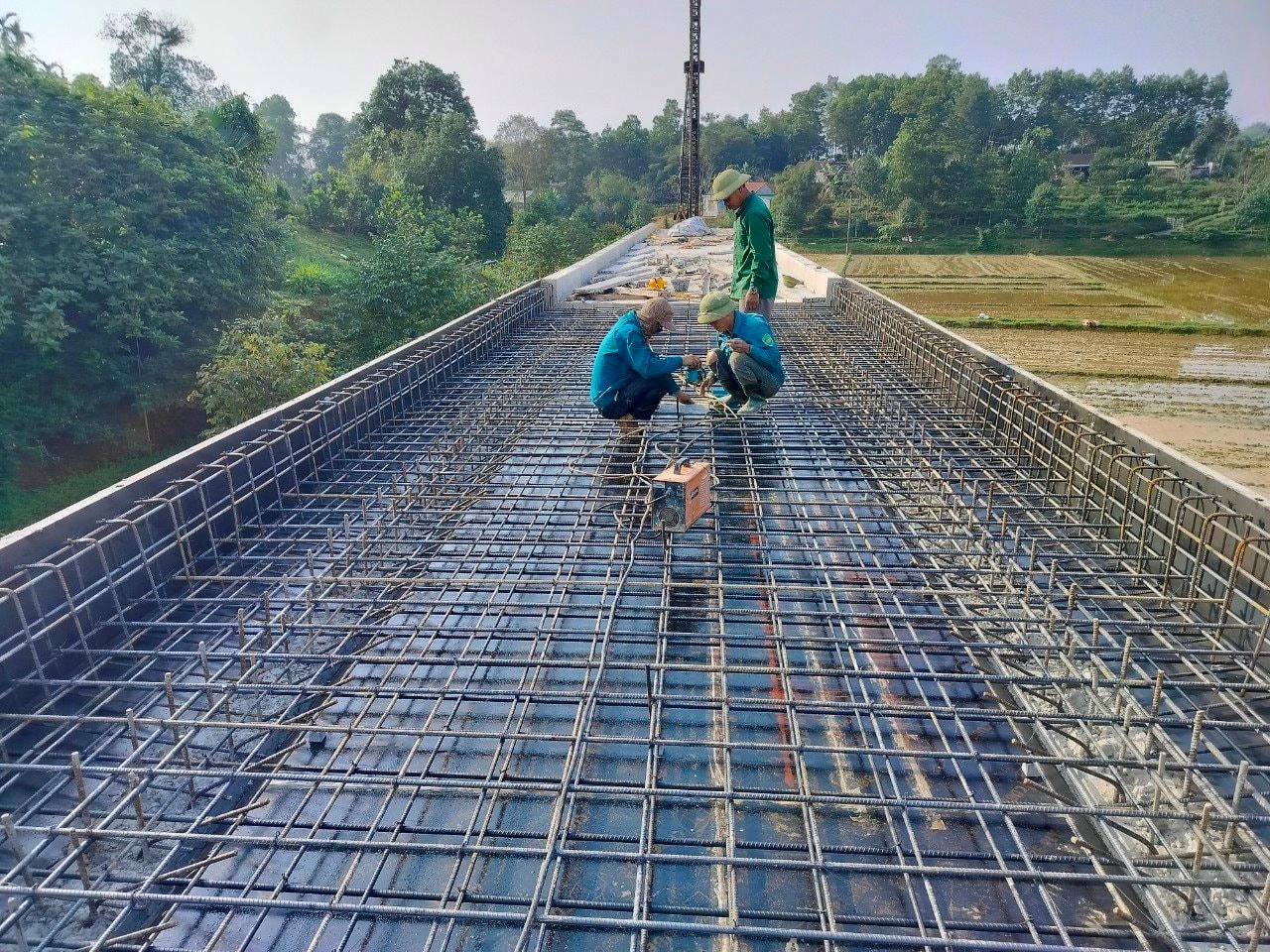 anh-bai-tren.jpg