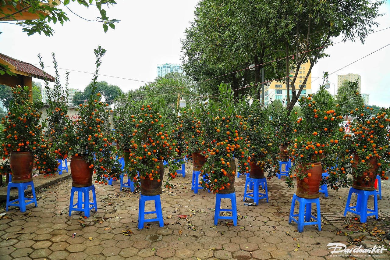 W_dao_quat_xa_lo-le-khanh19.jpg