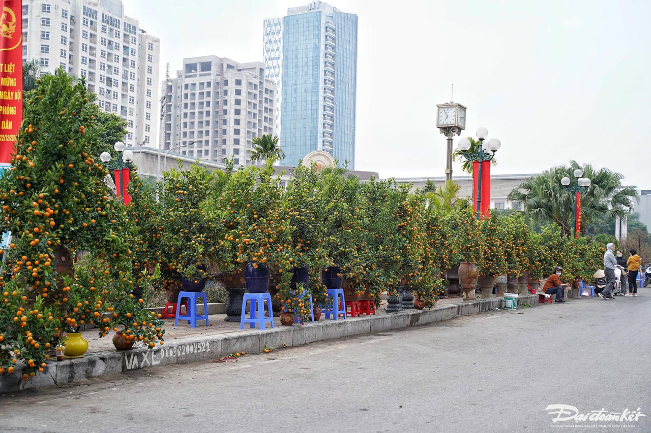 dao_quat-le-khanh25.jpg