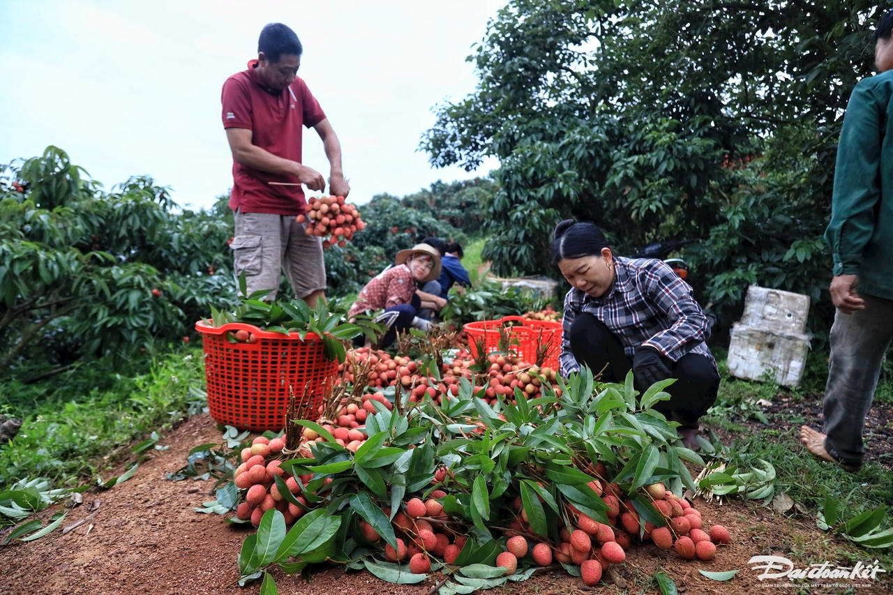 vai_thieu-le-khanh18.jpg