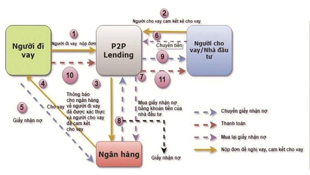 anh AN
