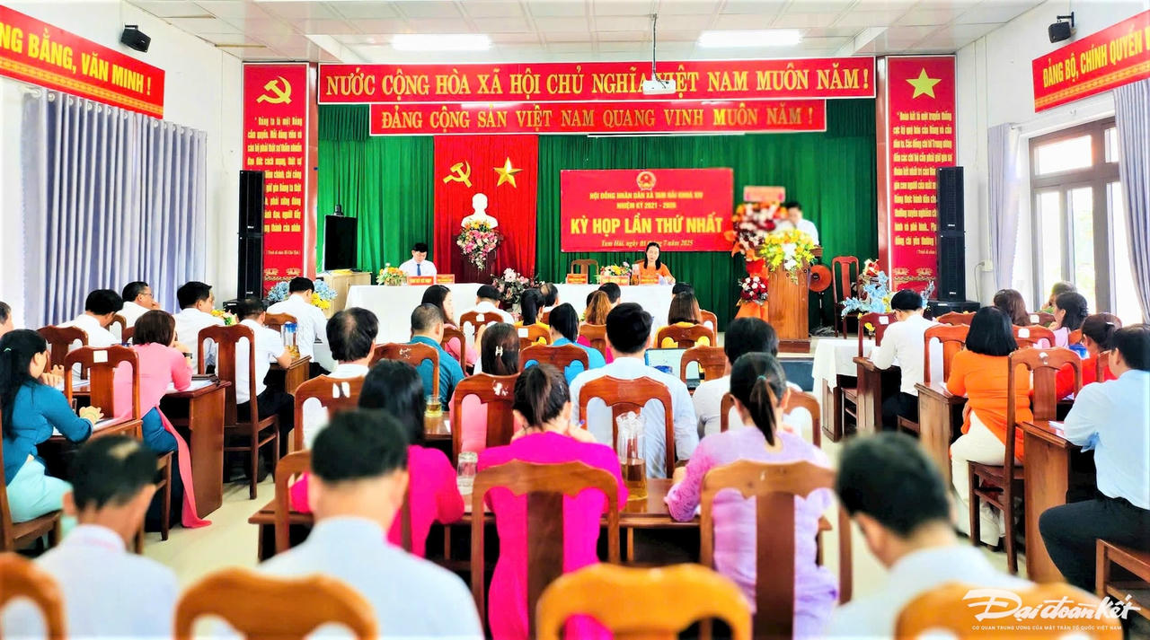 TAM HAI 1