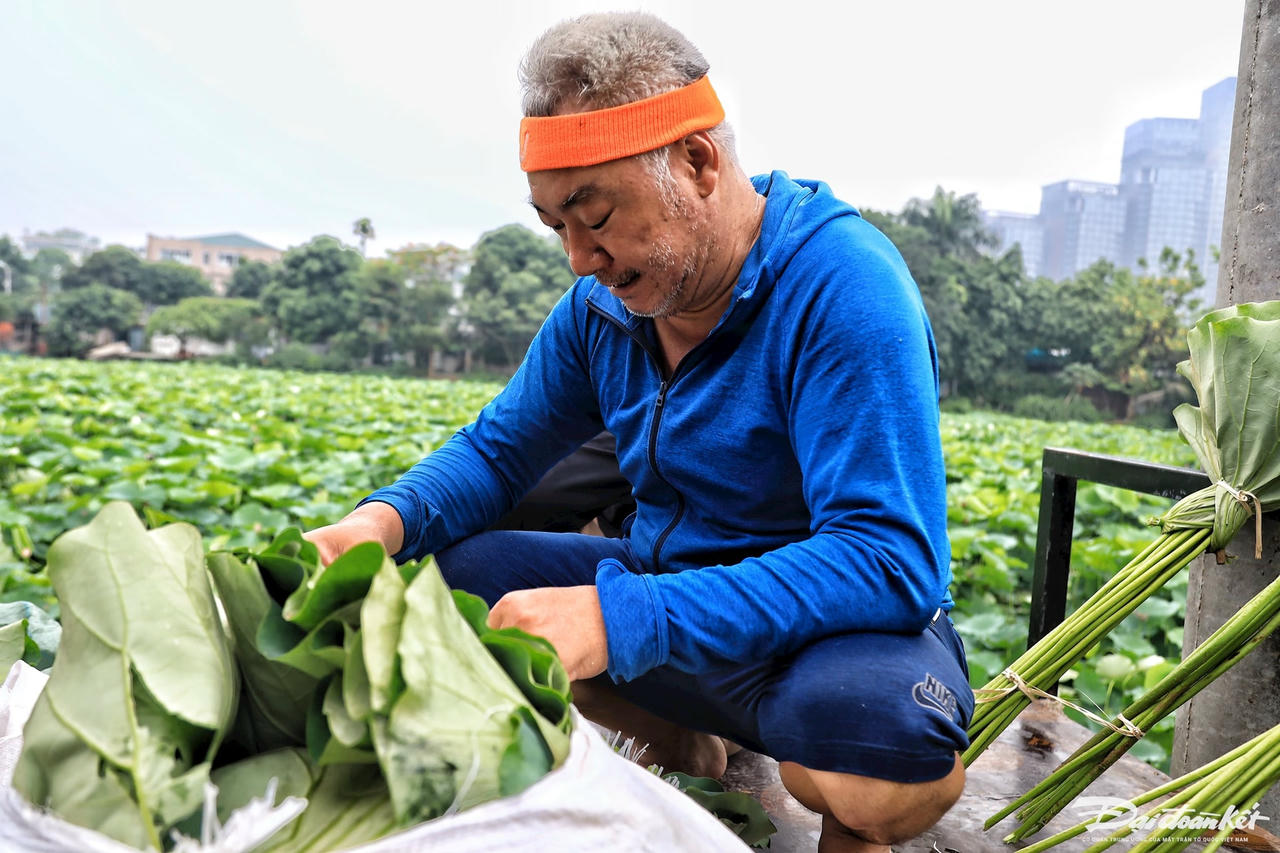 sen_bach_diep_ho_tay-le-khanh20.jpg