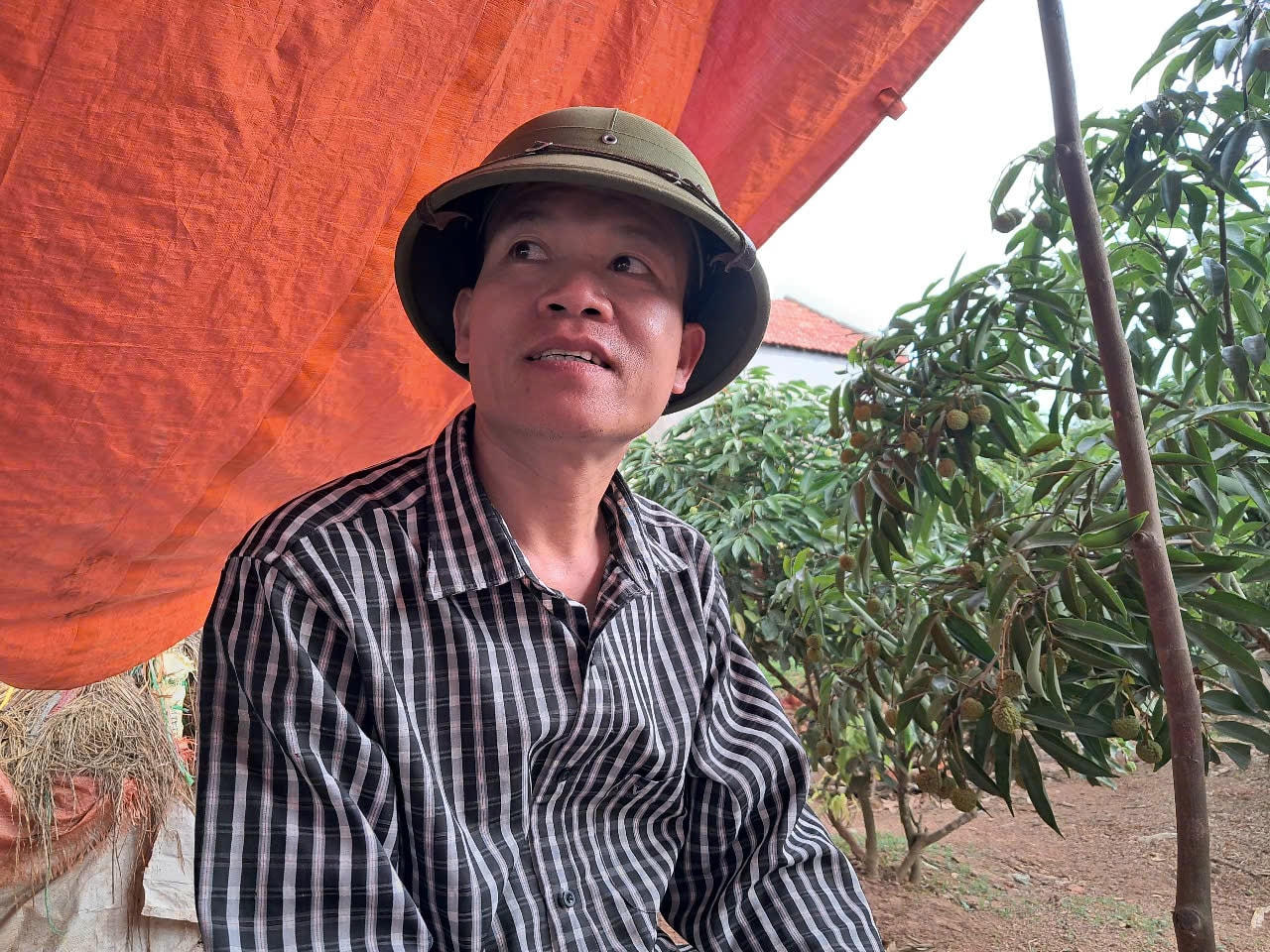 Ông Ngo Van Phuong