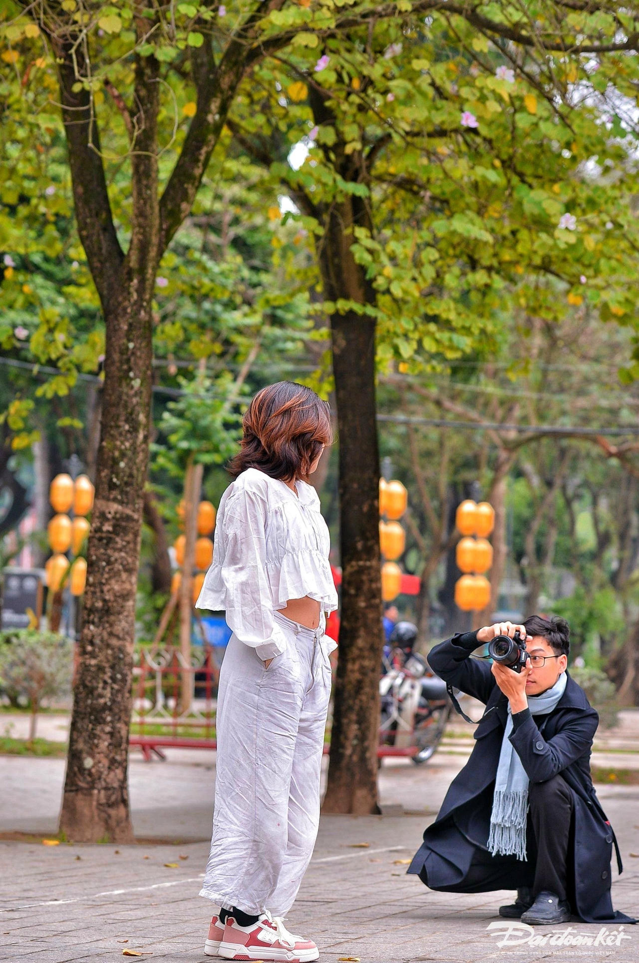 W_hoa_ban-le-khanh7.jpg