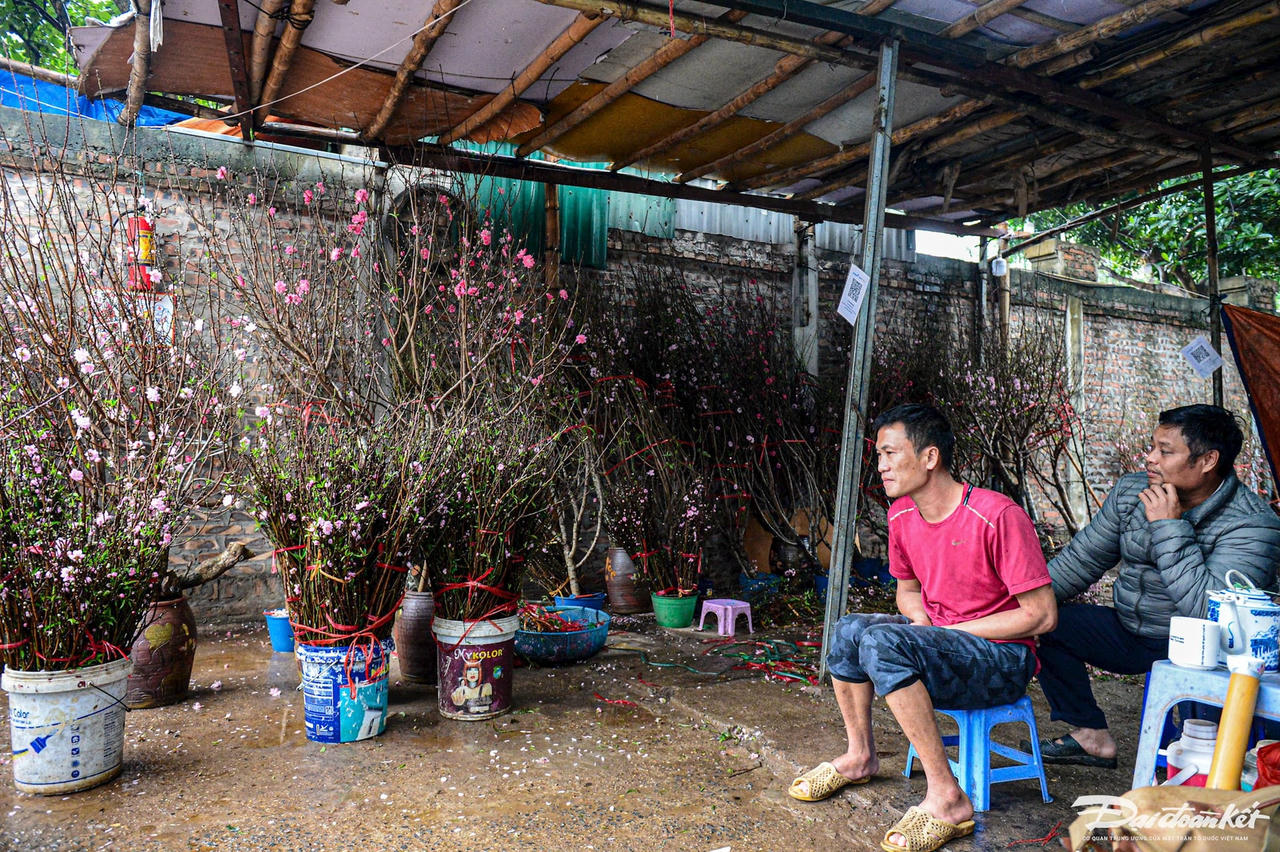 W_can-tet-tieu-thuong-cho-hoa-quang-ba-ngan-ngam-canh-duong-xa-bun-lay-14.jpg