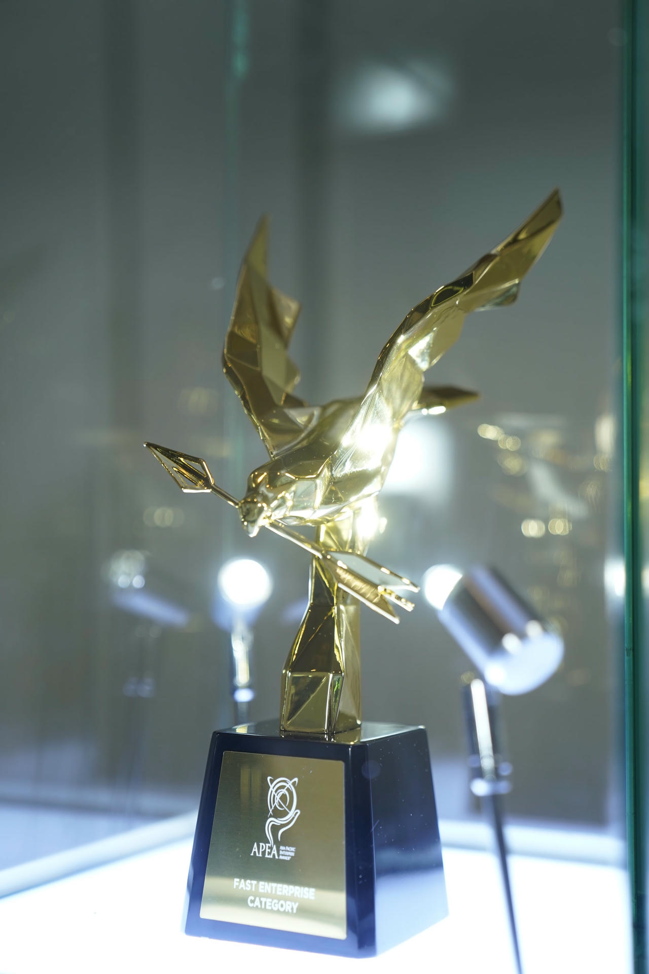 Giải thưởng