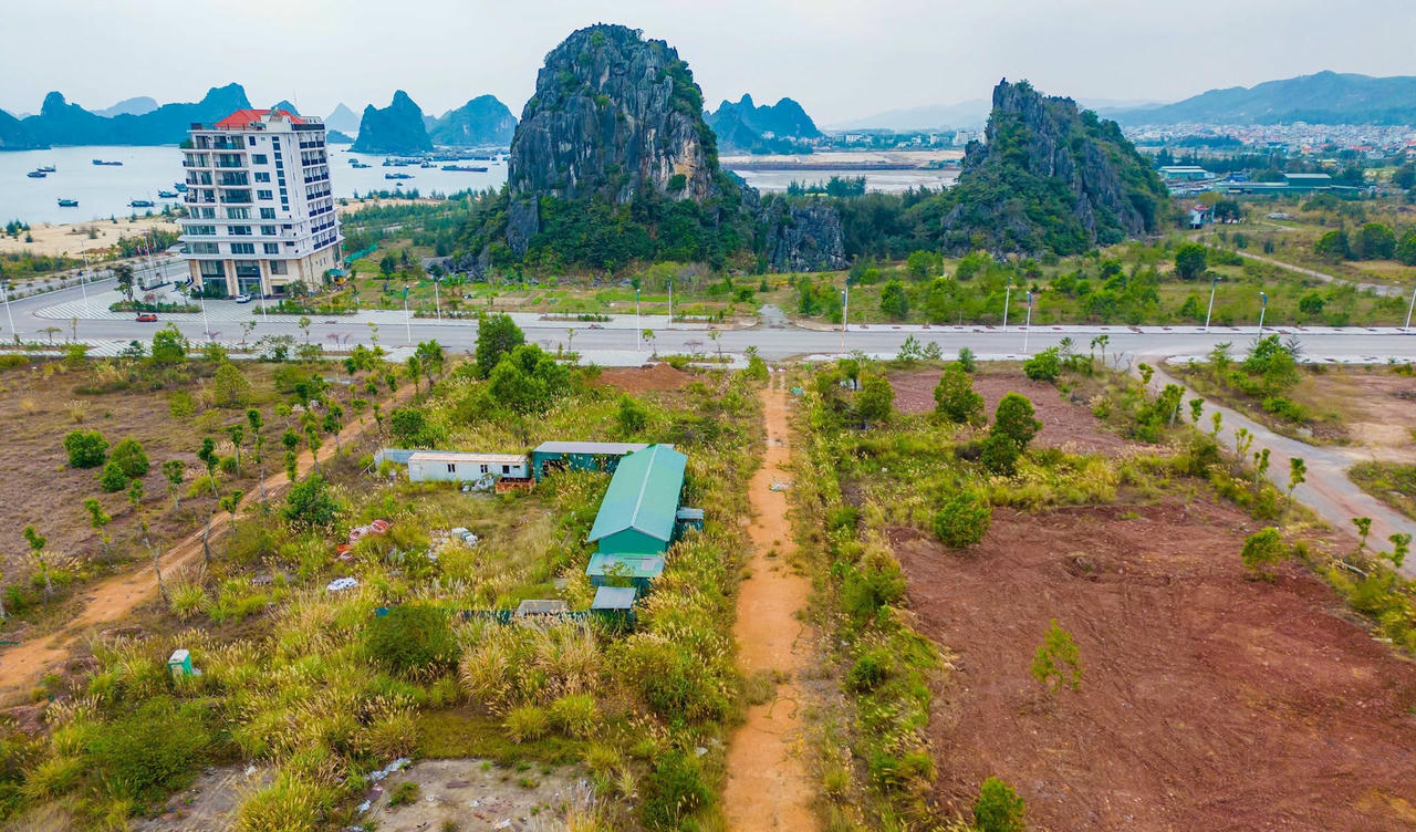 anh-du-an-copy.jpg