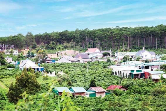 Vùng DTTS huyện Bảo Lâm ngày càng phát triển.