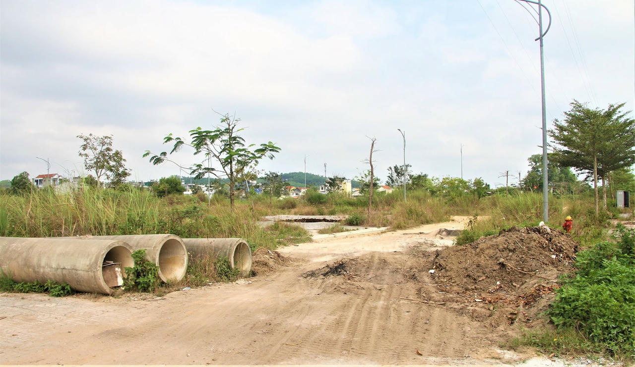 anh-bai-phu.jpg