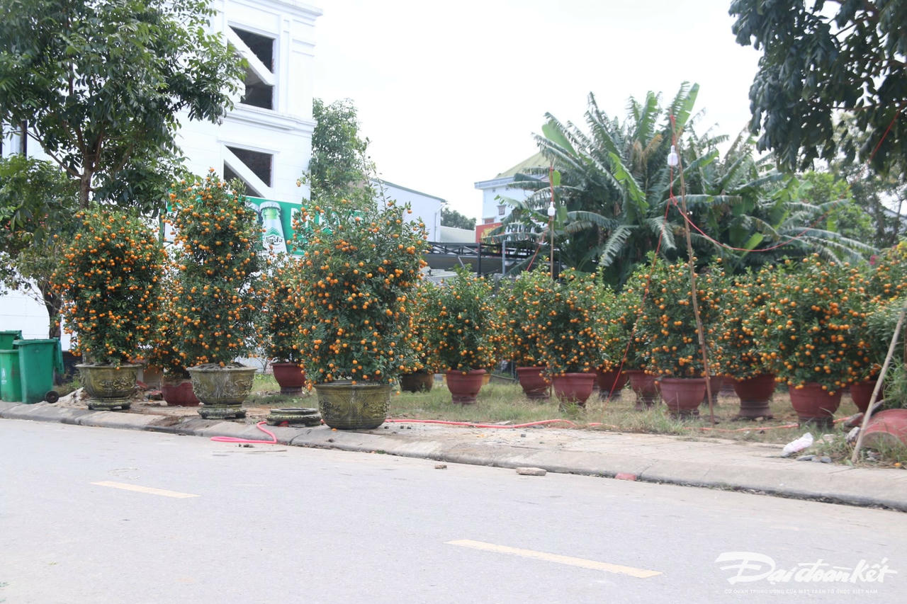 W_anh-9.1.jpg
