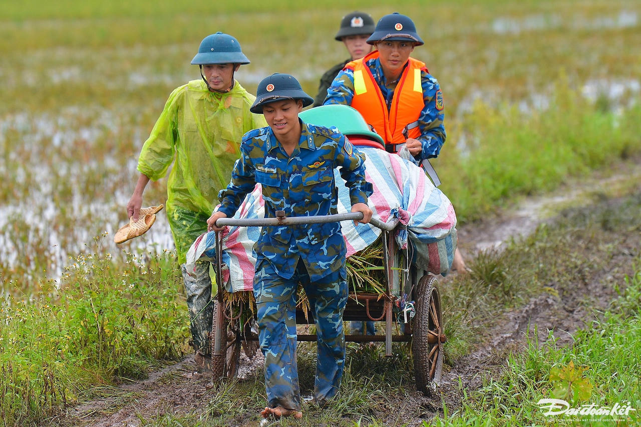 bo_doi_gat_lua-le-khanh10.jpg