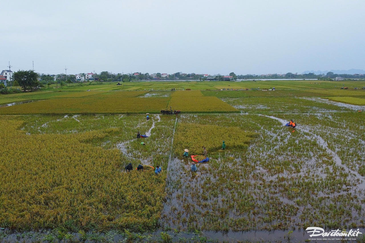 bo_doi_gat_lua-le-khanh14.jpg