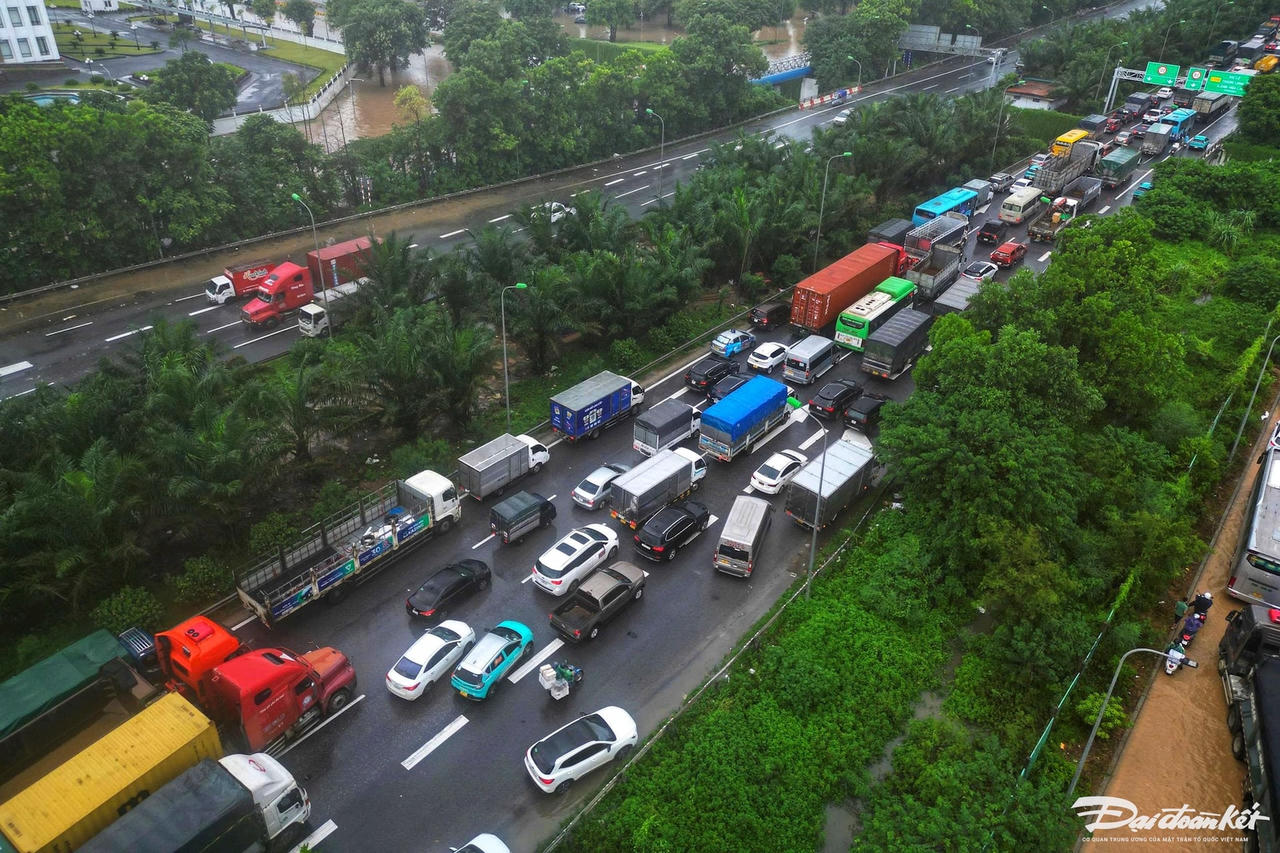 đại lộ25